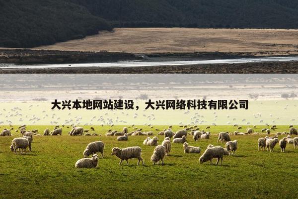 大兴本地网站建设，大兴网络科技有限公司-第1张图片-冷动云