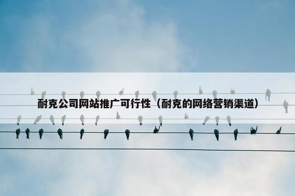 耐克公司网站推广可行性（耐克的网络营销渠道）-第1张图片-冷动云