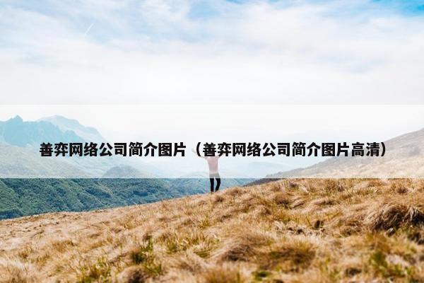善弈网络公司简介图片（善弈网络公司简介图片高清）-第1张图片-冷动云