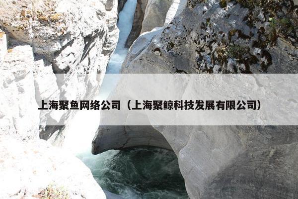 上海聚鱼网络公司（上海聚鲸科技发展有限公司）-第1张图片-冷动云