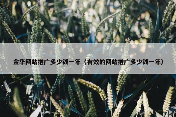 金华网站推广多少钱一年（有效的网站推广多少钱一年）-第1张图片-冷动云