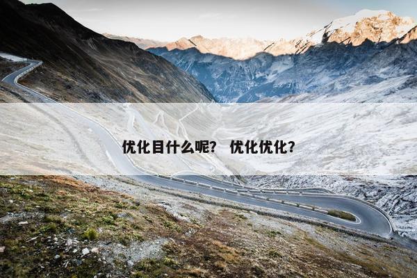 优化目什么呢？ 优化优化？-第1张图片-冷动云