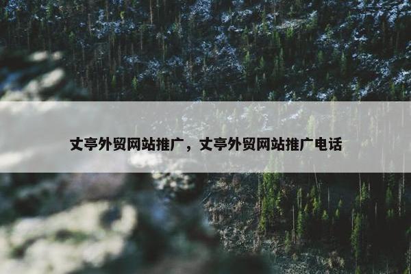 丈亭外贸网站推广，丈亭外贸网站推广电话-第1张图片-冷动云