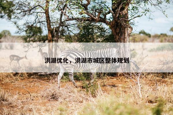 洪湖优化，洪湖市城区整体规划-第1张图片-冷动云