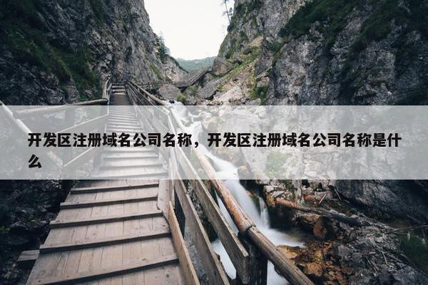 开发区注册域名公司名称，开发区注册域名公司名称是什么-第1张图片-冷动云