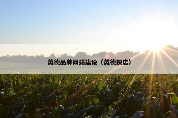 英德品牌网站建设（英德探店）-第1张图片-冷动云