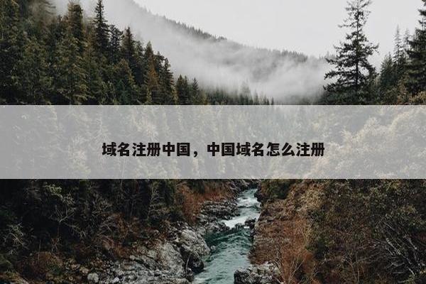 域名注册中国，中国域名怎么注册-第1张图片-冷动云
