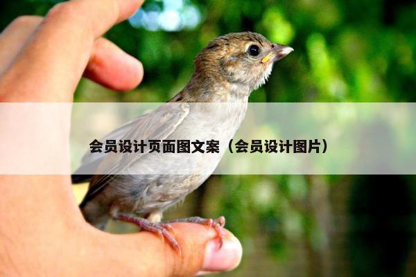 会员设计页面图文案（会员设计图片）-第1张图片-冷动云
