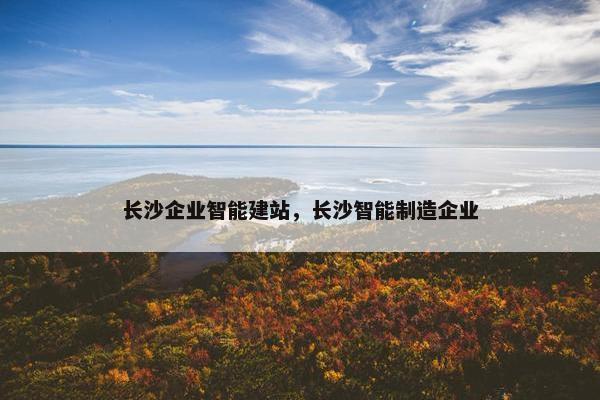 长沙企业智能建站，长沙智能制造企业-第1张图片-冷动云