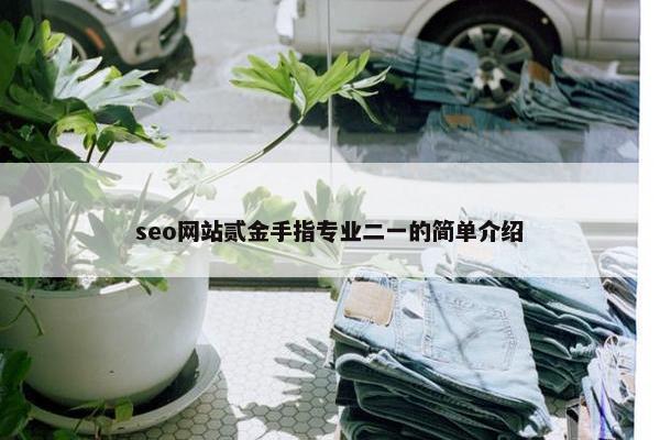 seo网站贰金手指专业二一的简单介绍-第1张图片-冷动云