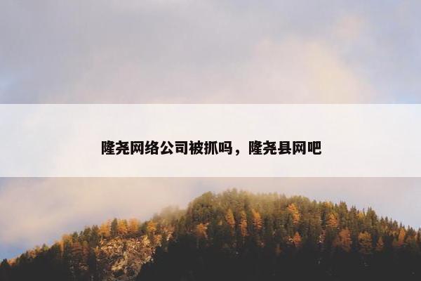 隆尧网络公司被抓吗，隆尧县网吧-第1张图片-冷动云