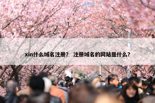 xin什么域名注册？ 注册域名的网站是什么？-第1张图片-冷动云