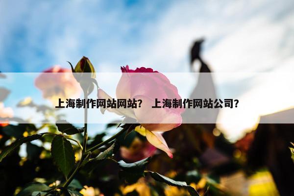 上海制作网站网站？ 上海制作网站公司？-第1张图片-冷动云