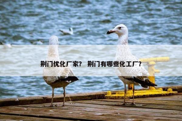 荆门优化厂家？ 荆门有哪些化工厂？-第1张图片-冷动云