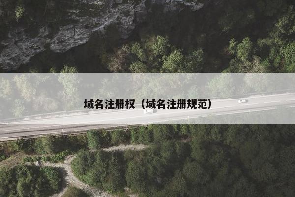 域名注册权（域名注册规范）-第1张图片-冷动云