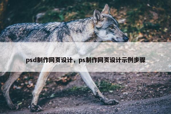 psd制作网页设计，ps制作网页设计示例步骤-第1张图片-冷动云