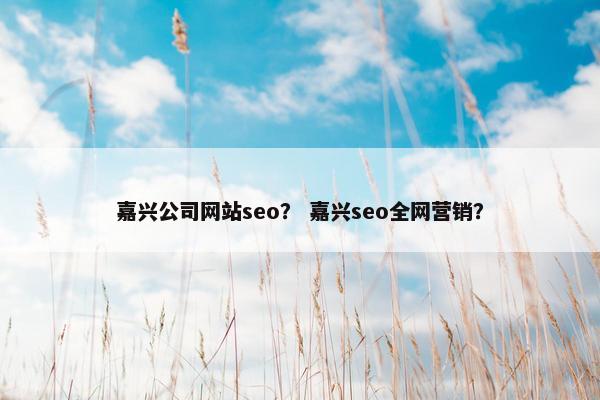 嘉兴公司网站seo？ 嘉兴seo全网营销？-第1张图片-冷动云