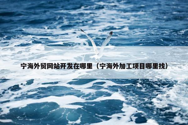 宁海外贸网站开发在哪里（宁海外加工项目哪里找）-第1张图片-冷动云