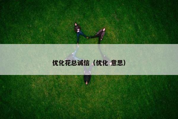 优化花总诚信（优化 意思）-第1张图片-冷动云