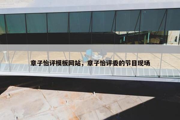 章子怡评模板网站，章子怡评委的节目现场-第1张图片-冷动云