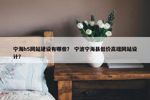宁海h5网站建设有哪些？ 宁波宁海县低价高端网站设计？-第1张图片-冷动云