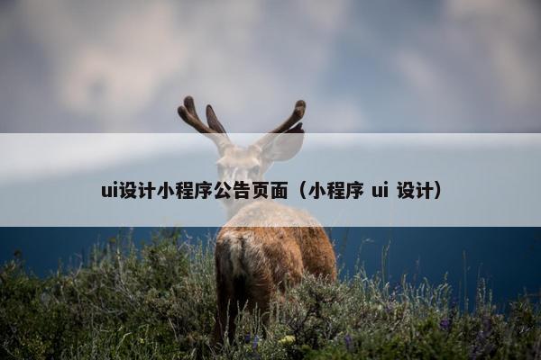 ui设计小程序公告页面（小程序 ui 设计）-第1张图片-冷动云