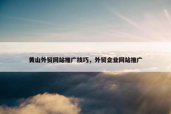 黄山外贸网站推广技巧，外贸企业网站推广-第1张图片-冷动云
