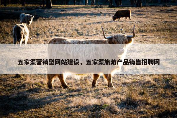 五家渠营销型网站建设，五家渠旅游产品销售招聘网-第1张图片-冷动云