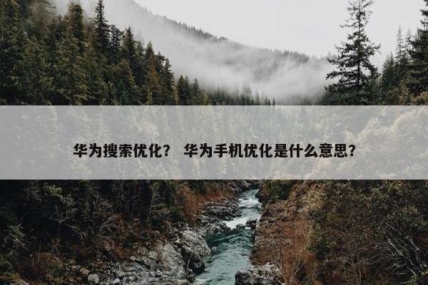 华为搜索优化？ 华为手机优化是什么意思？-第1张图片-冷动云