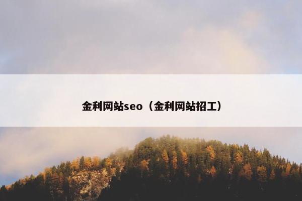 金利网站seo（金利网站招工）-第1张图片-冷动云