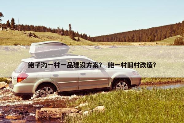 鲍子沟一村一品建设方案？ 鲍一村旧村改造？-第1张图片-冷动云