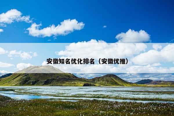 安徽知名优化排名（安徽优推）-第1张图片-冷动云