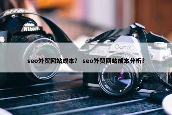 seo外贸网站成本？ seo外贸网站成本分析？-第1张图片-冷动云