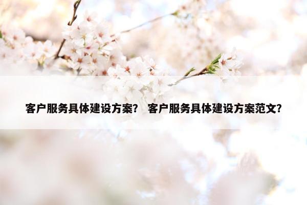 客户服务具体建设方案？ 客户服务具体建设方案范文？-第1张图片-冷动云