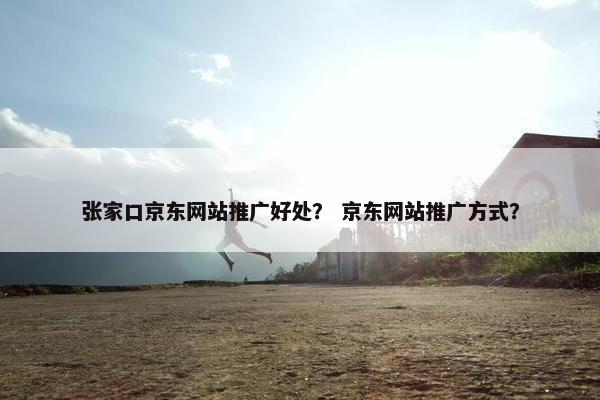 张家口京东网站推广好处？ 京东网站推广方式？-第1张图片-冷动云