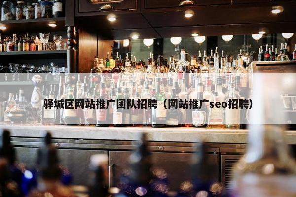 驿城区网站推广团队招聘（网站推广seo招聘）-第1张图片-冷动云