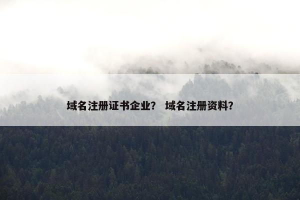 域名注册证书企业？ 域名注册资料？-第1张图片-冷动云