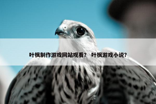 叶枫制作游戏网站观看？ 叶枫游戏小说？-第1张图片-冷动云