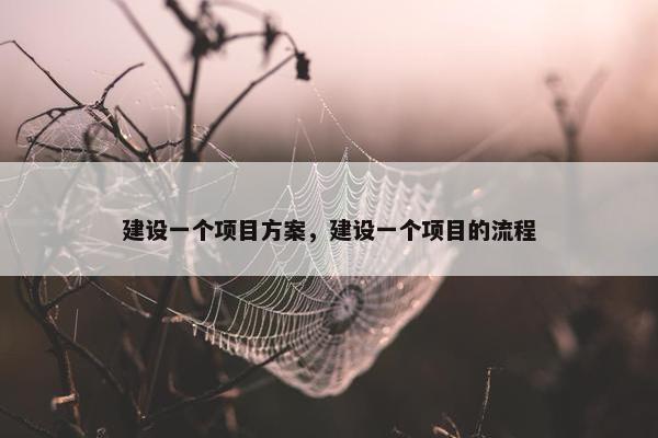 建设一个项目方案，建设一个项目的流程-第1张图片-冷动云