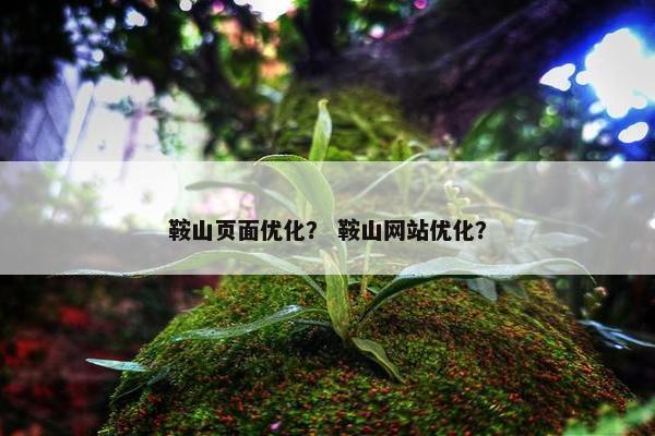 鞍山页面优化？ 鞍山网站优化？-第1张图片-冷动云
