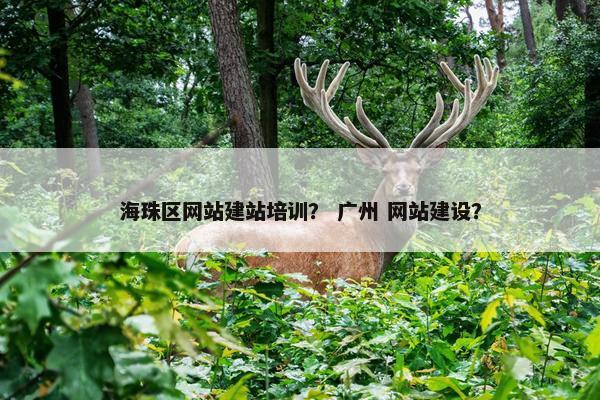 海珠区网站建站培训？ 广州 网站建设？-第1张图片-冷动云