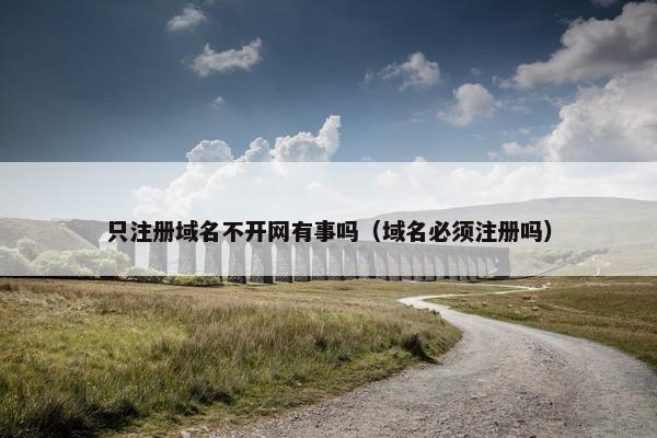 只注册域名不开网有事吗（域名必须注册吗）-第1张图片-冷动云