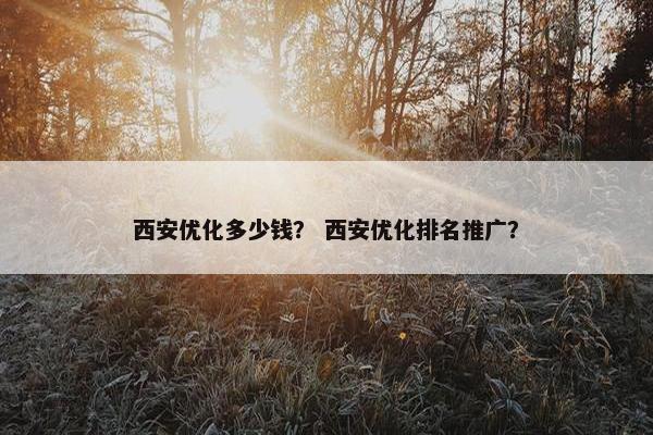 西安优化多少钱？ 西安优化排名推广？-第1张图片-冷动云