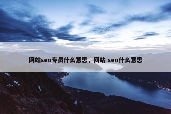 网站seo专员什么意思，网站 seo什么意思-第1张图片-冷动云