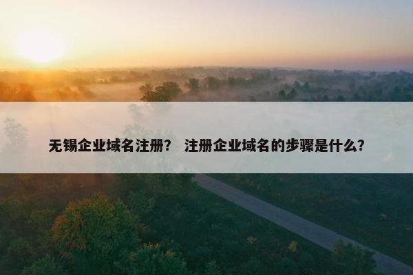 无锡企业域名注册？ 注册企业域名的步骤是什么？-第1张图片-冷动云