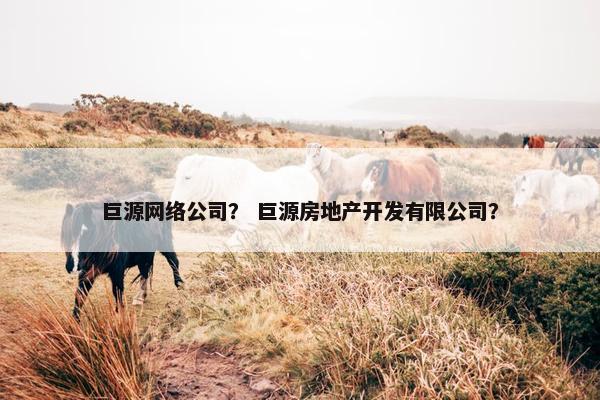 巨源网络公司？ 巨源房地产开发有限公司？-第1张图片-冷动云