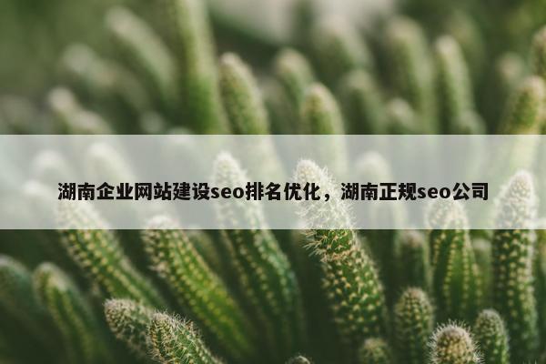 湖南企业网站建设seo排名优化，湖南正规seo公司-第1张图片-冷动云