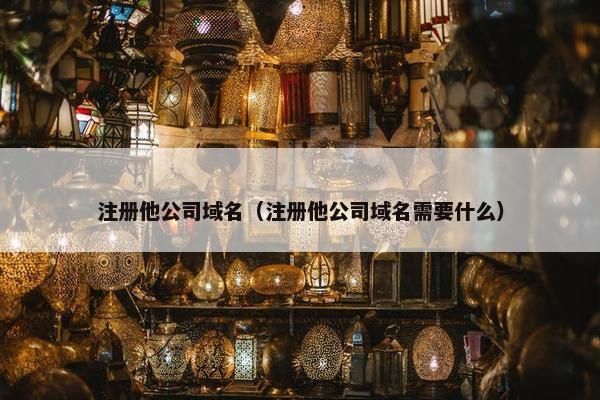 注册他公司域名（注册他公司域名需要什么）-第1张图片-冷动云