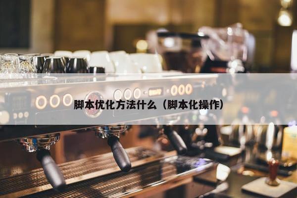 脚本优化方法什么（脚本化操作）-第1张图片-冷动云