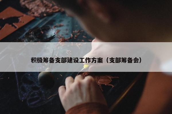 积极筹备支部建设工作方案（支部筹备会）-第1张图片-冷动云